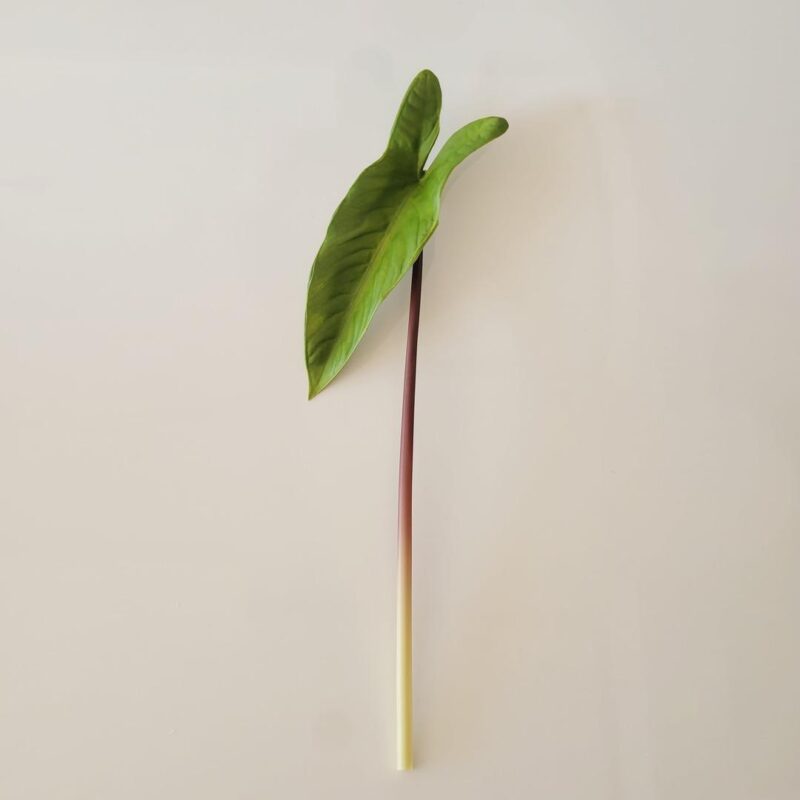 Haste folha Alocasia 41cm verde