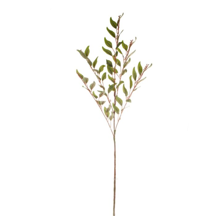 Haste eucalipto com sementes 65cm