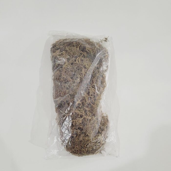 Musgo natural para arranjos pacote 40g