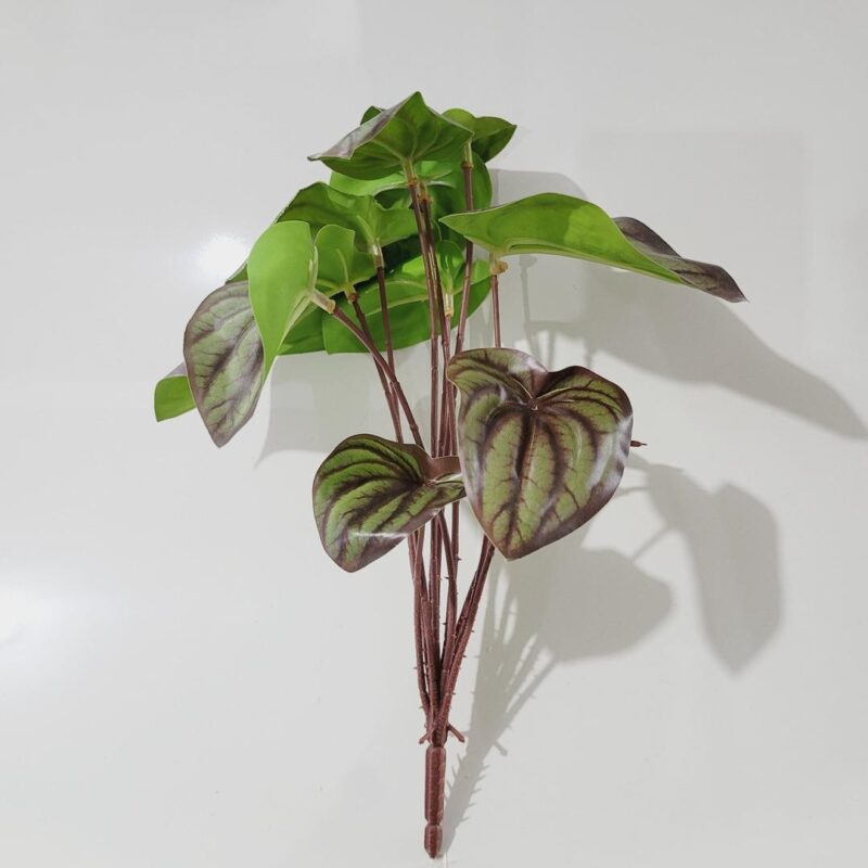 Buquê folhagem Peperômia 26cm